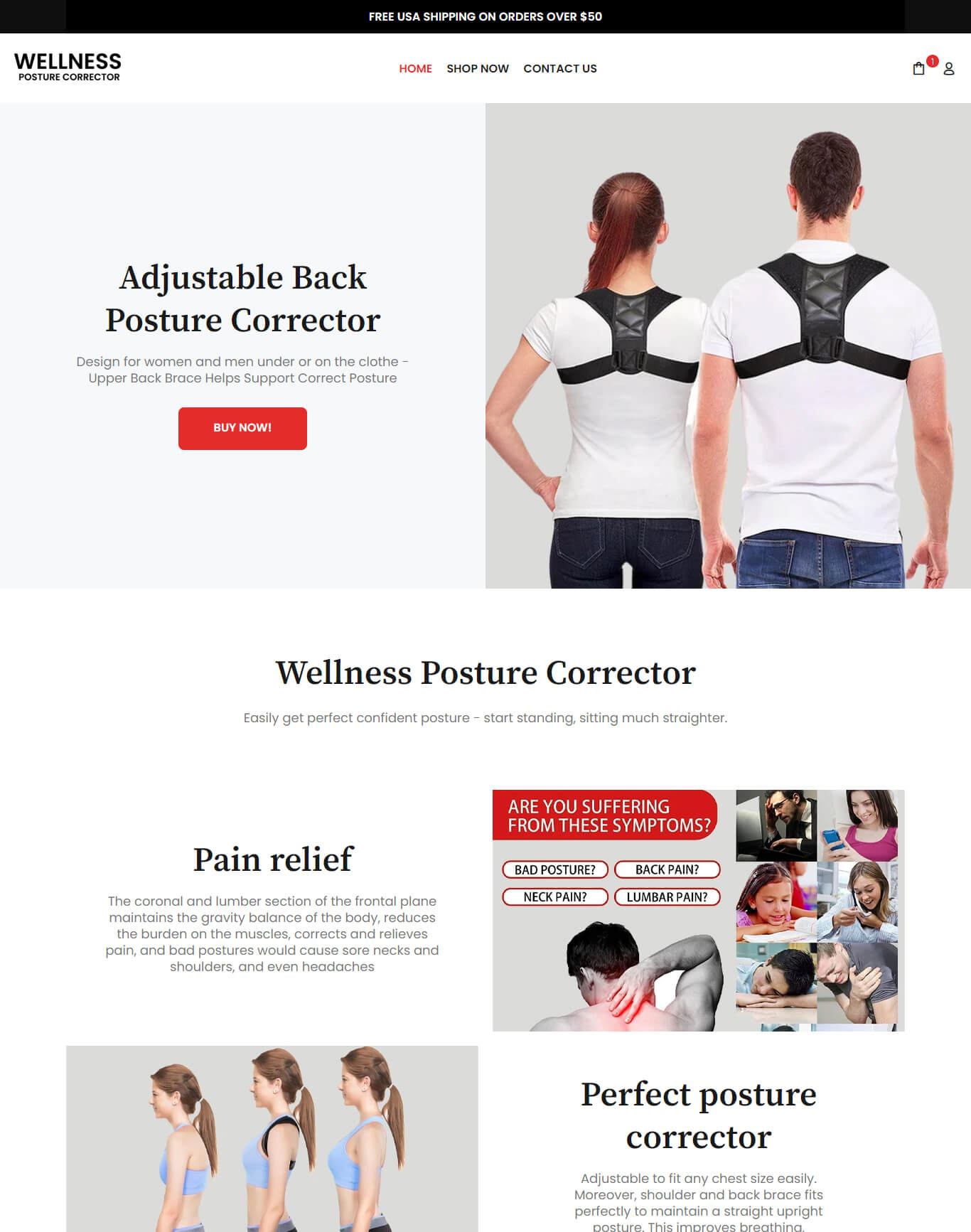 Wellness Posture Corrector