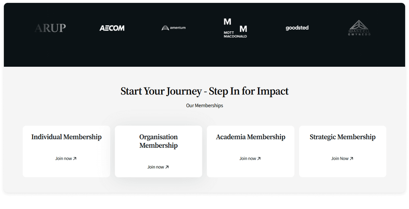 Institute for Social Value